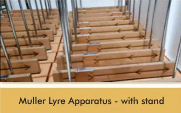 Muller Lyre Apparatus - with stand