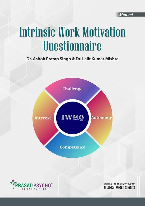 Intrinsic Work Motivation Questionnaire