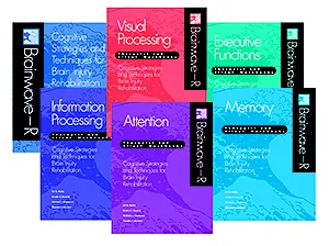 Brainwave–R: Cognitive Strategies and Techniques for Brain Injury Rehabilitation