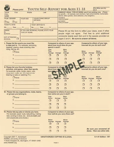 Youth Self-Report (YSR)
